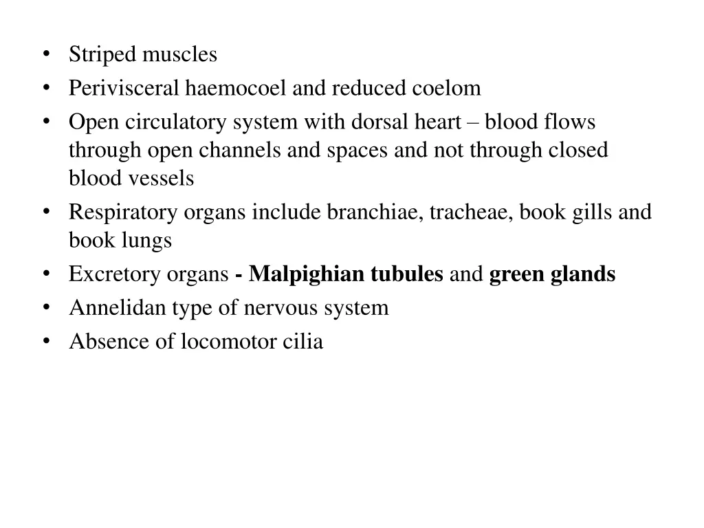 striped muscles perivisceral haemocoel
