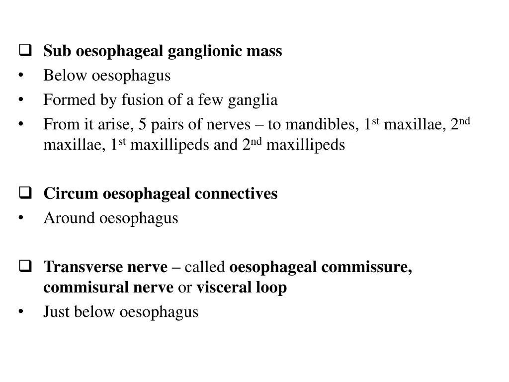 sub oesophageal ganglionic mass below oesophagus