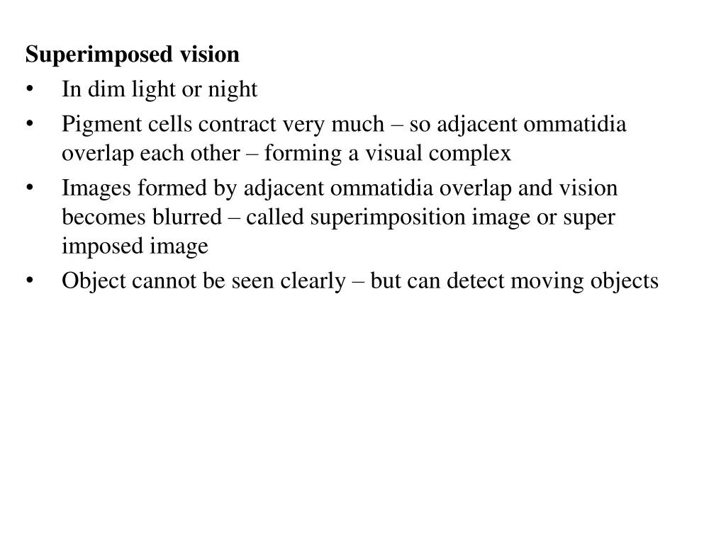 superimposed vision in dim light or night pigment