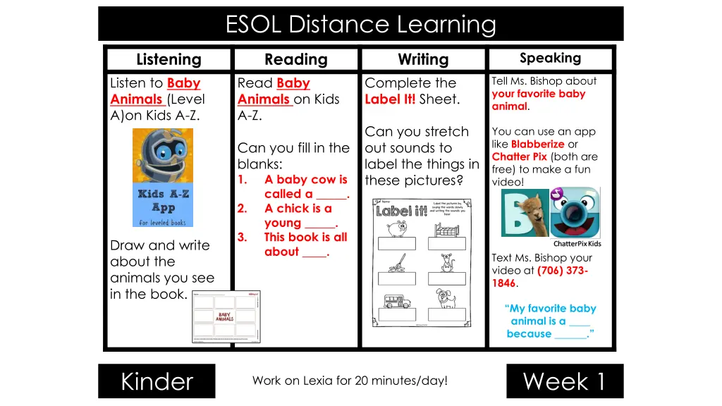 esol distance learning