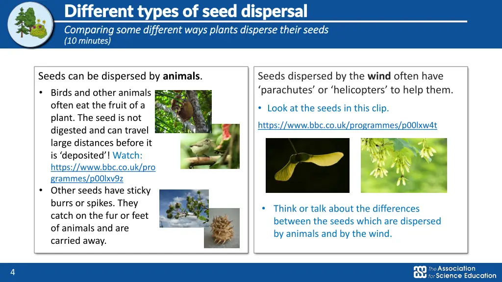 different types of seed dispersal different types