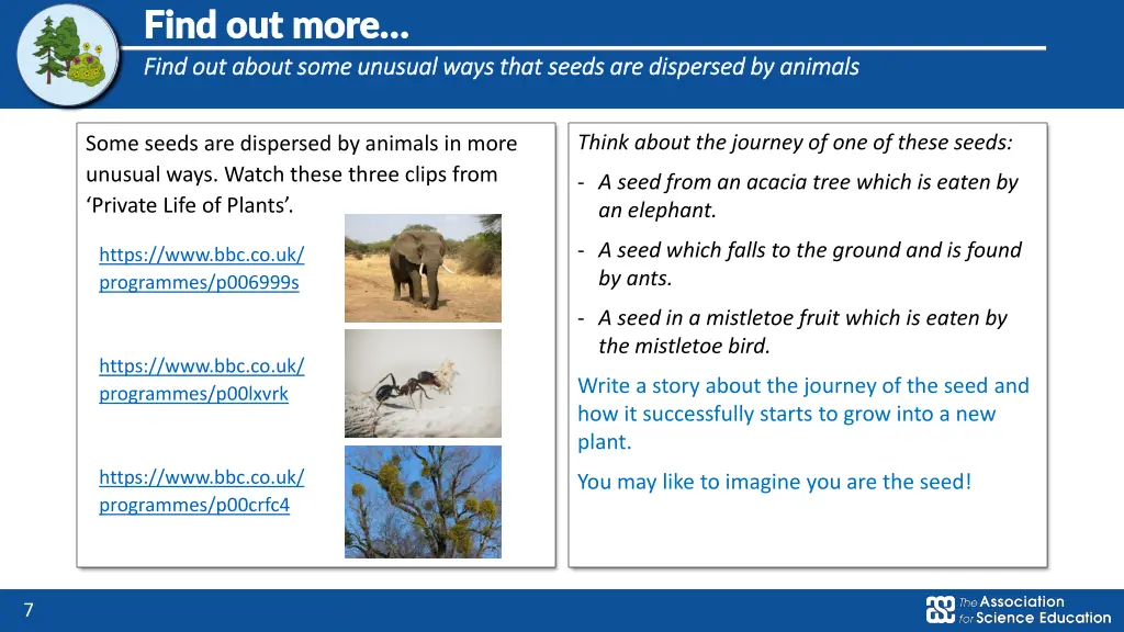 find out more find out more find out about some