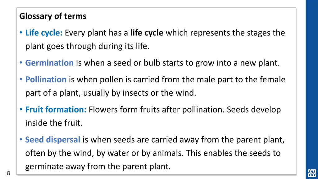 glossary of terms