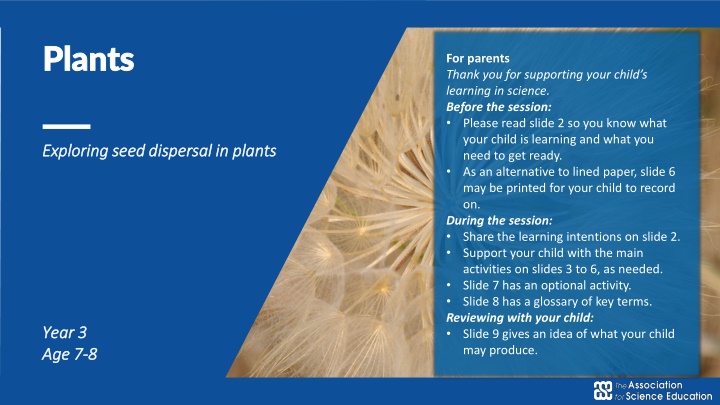 plants plants