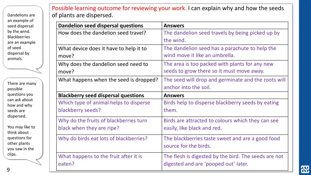 possible learning outcome for reviewing your work