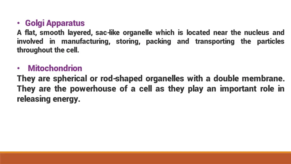 golgi apparatus a flat smooth layered sac like
