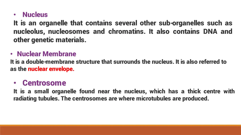 nucleus