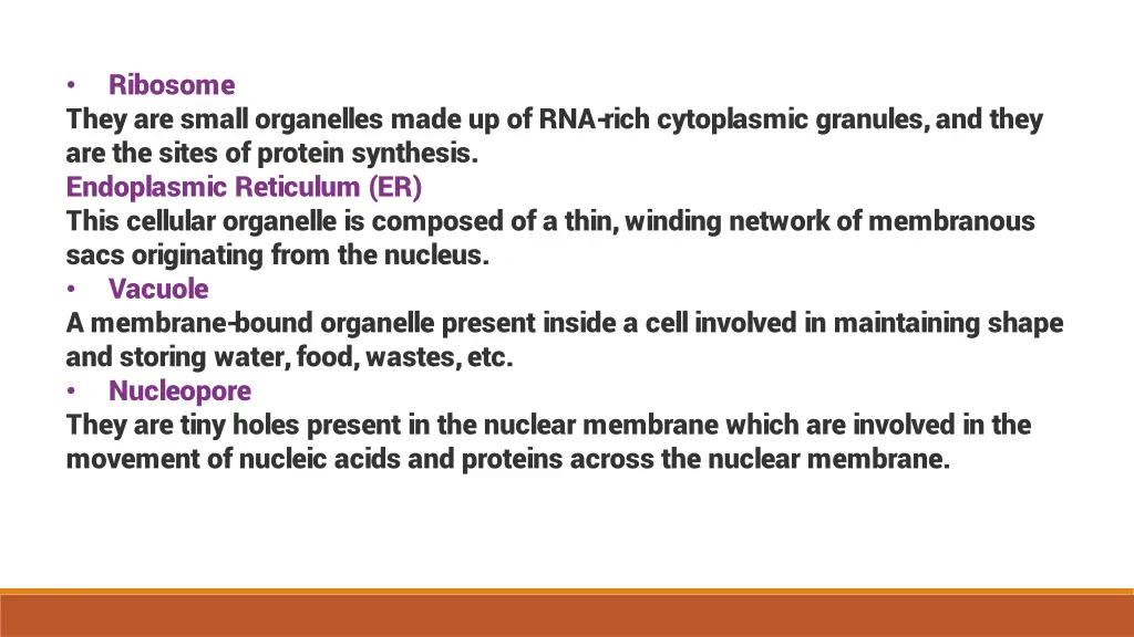 ribosome