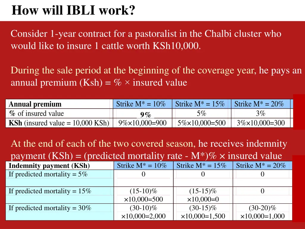 how will ibli work