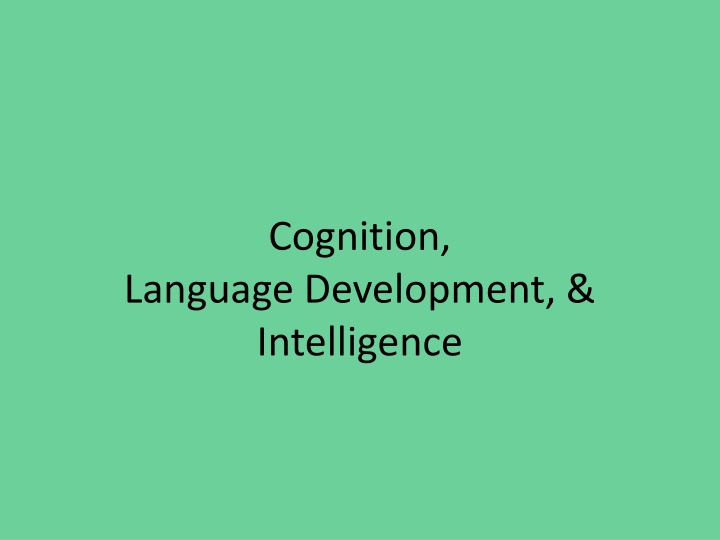 cognition