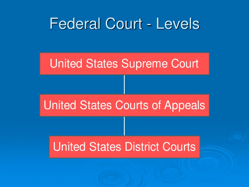 federal court levels 1