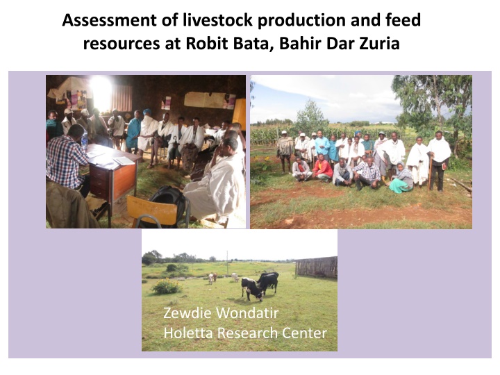 assessment of livestock production and feed
