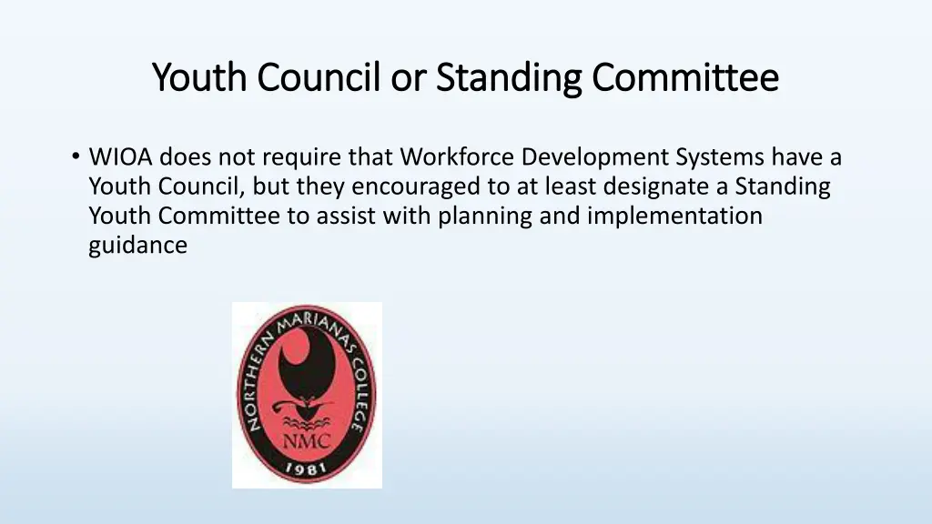 youth council or standing committee youth council