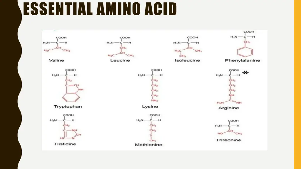 essential amino acid