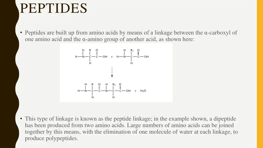 peptides