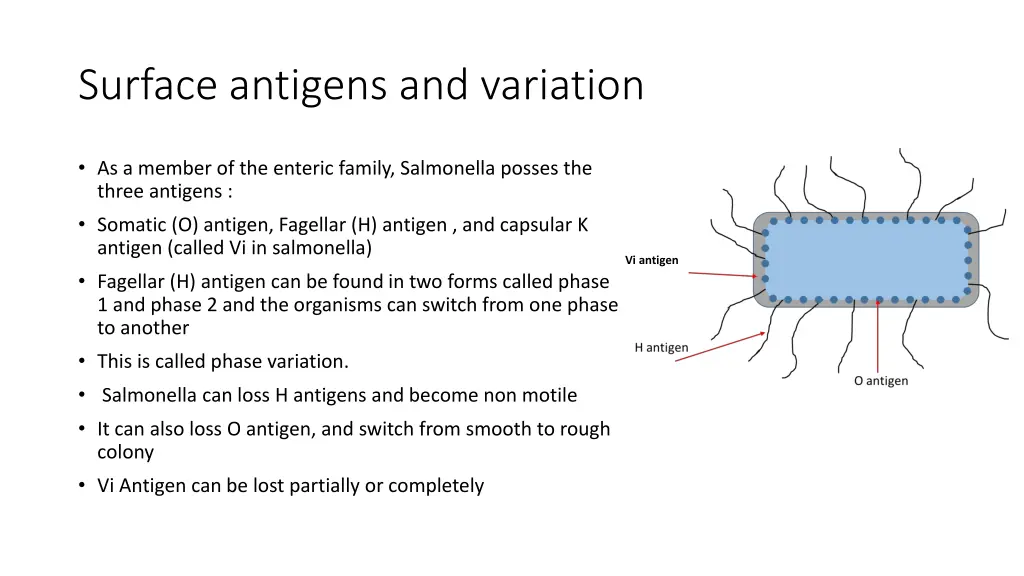 surface antigens and variation