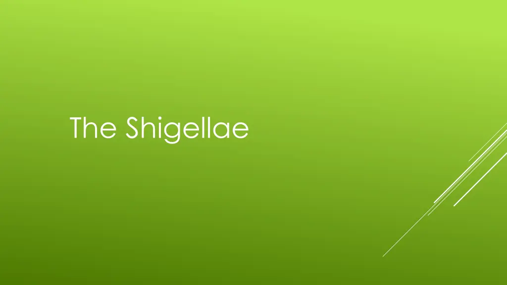 the shigellae