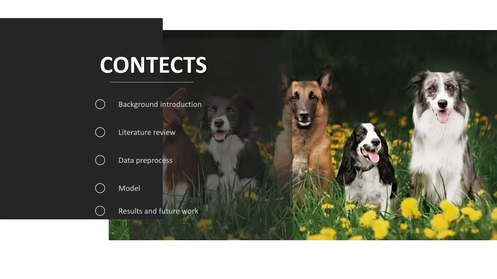 contects