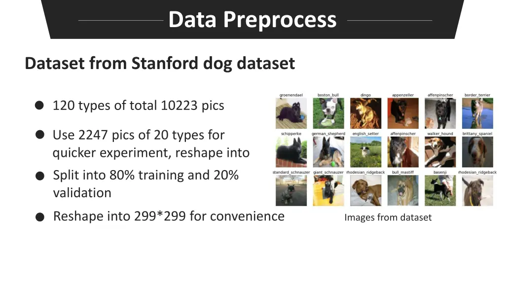data preprocess