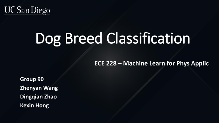 dog breed classification dog breed classification