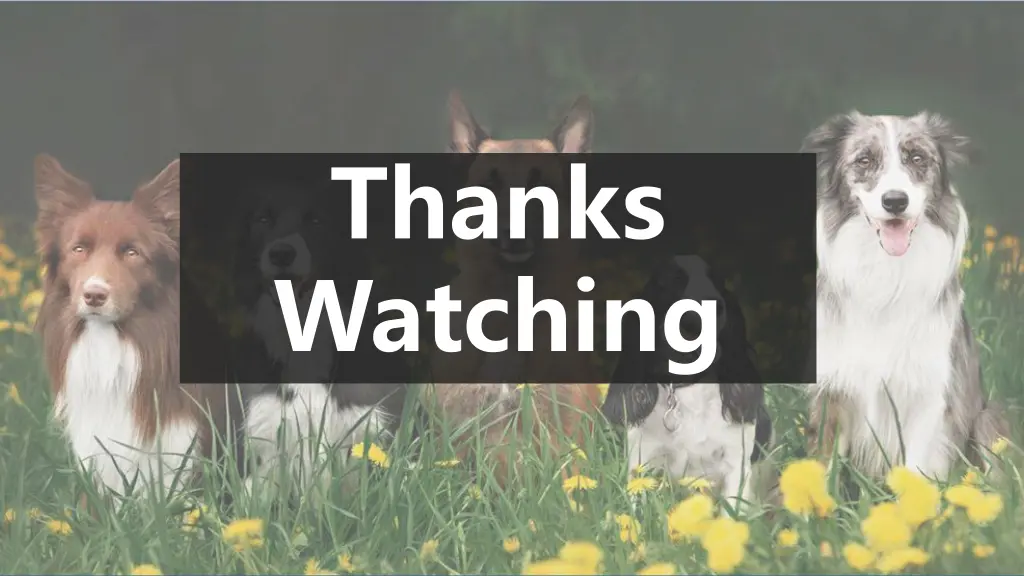thanks watching