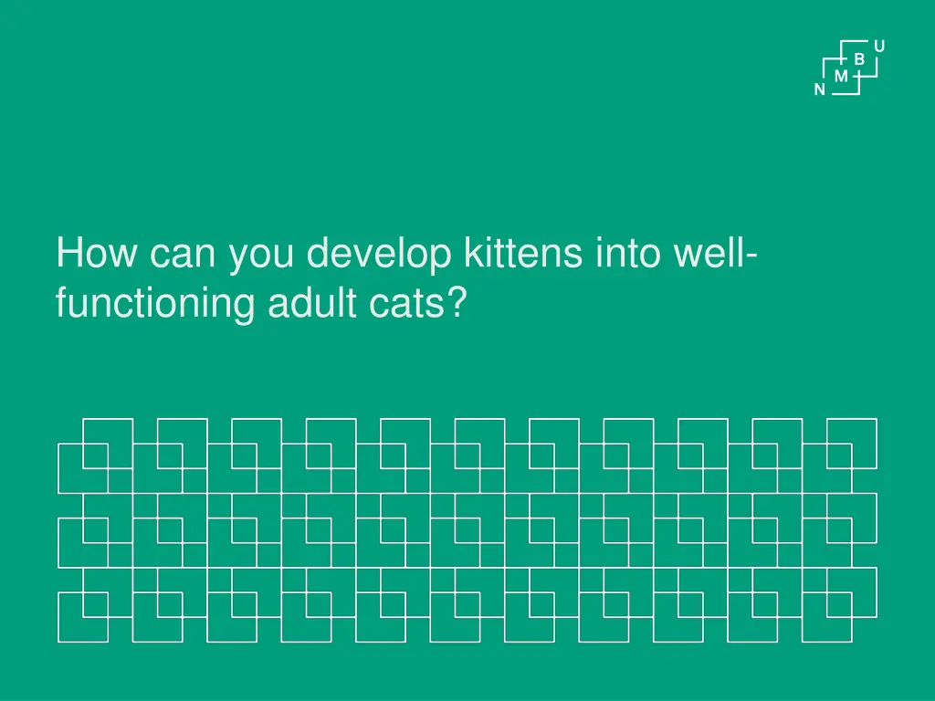 how can you develop kittens into well functioning