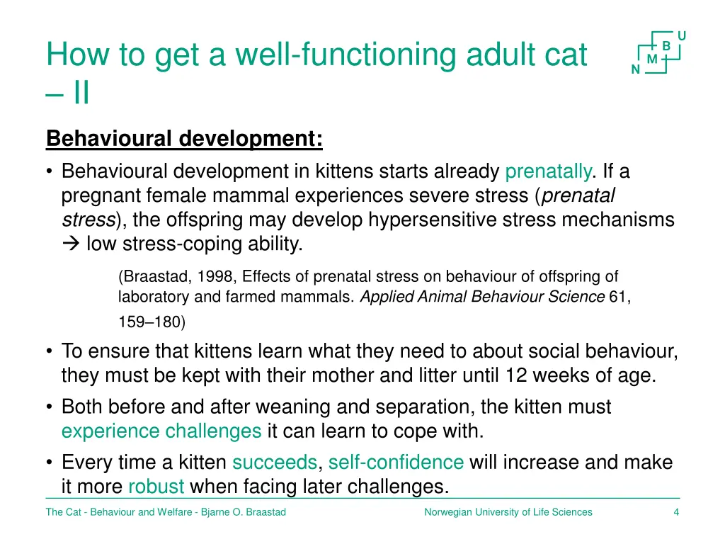 how to get a well functioning adult cat ii