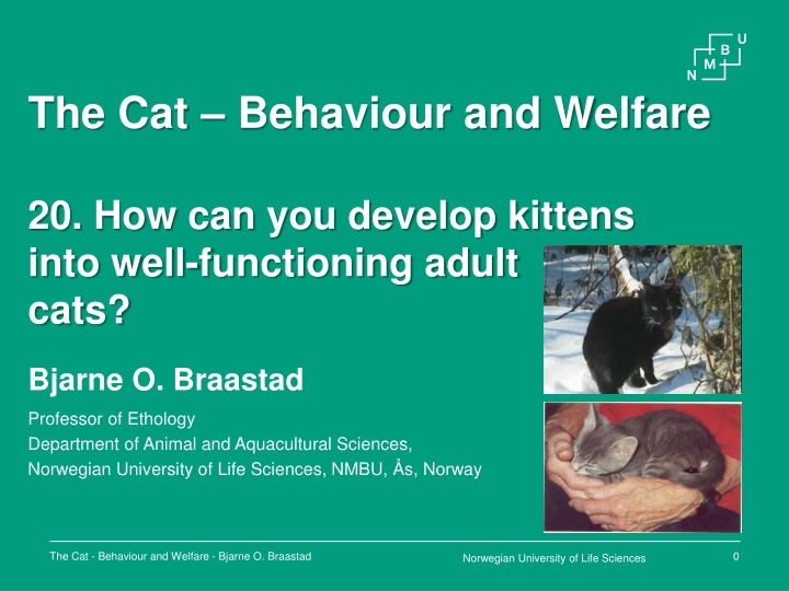 the cat behaviour and welfare