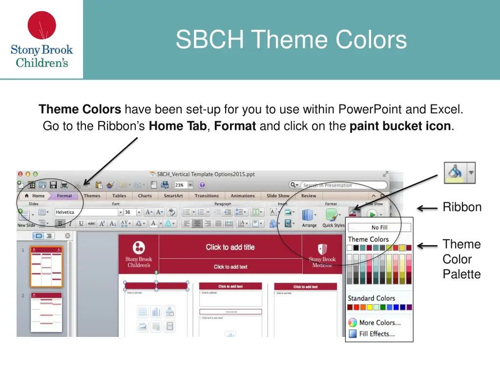 sbch theme colors