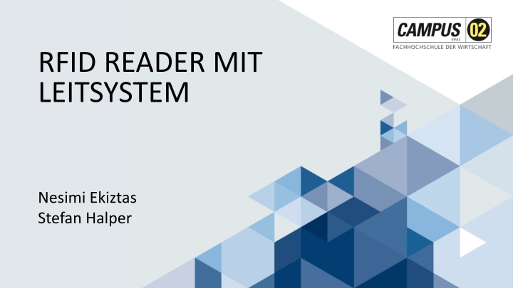 rfid reader mit leitsystem
