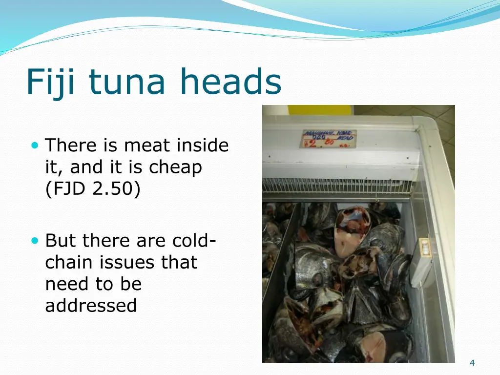 fiji tuna heads