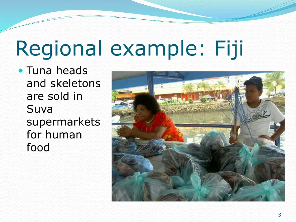 regional example fiji tuna heads and skeletons