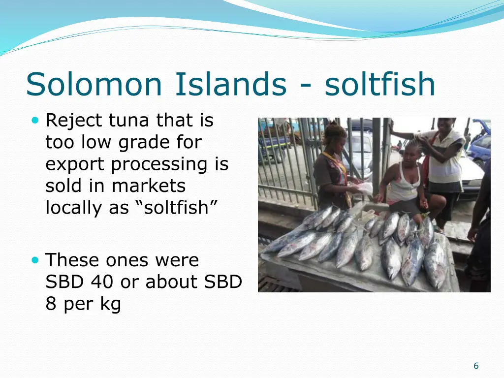 solomon islands soltfish reject tuna that