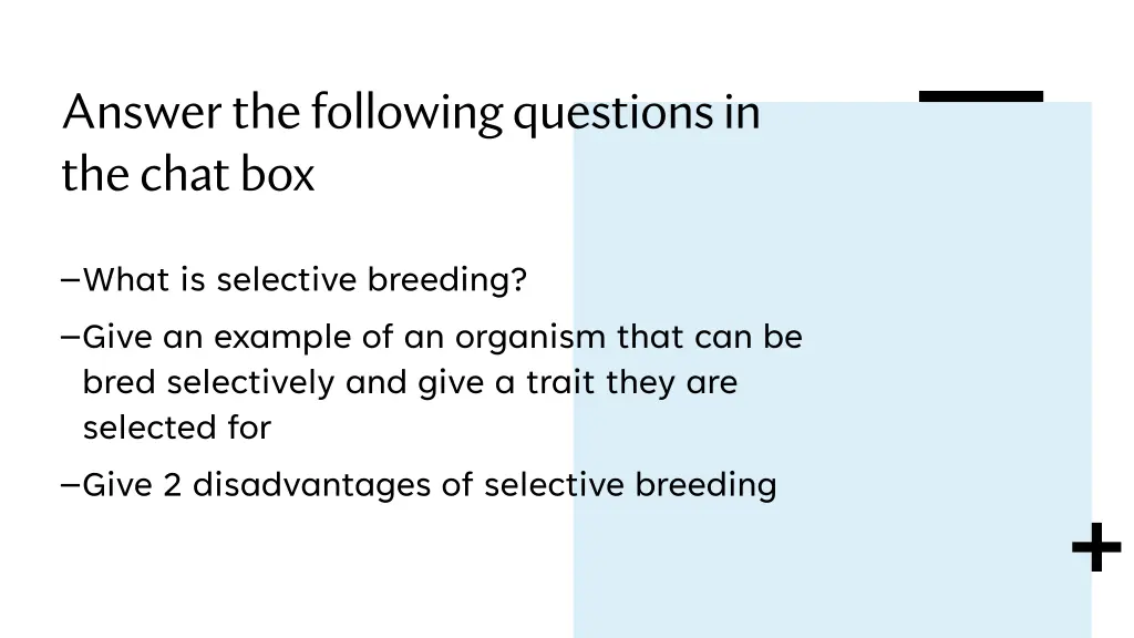 answer the following questions in the chat box