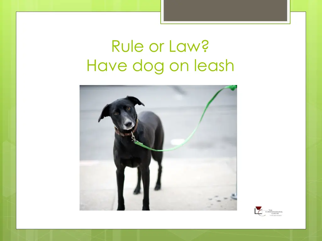 rule or law have dog on leash