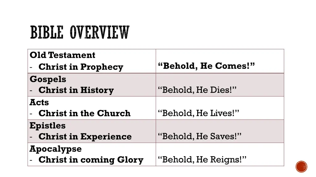bible overview