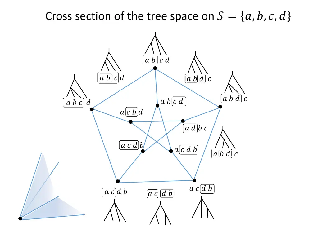 cross section of the tree space on