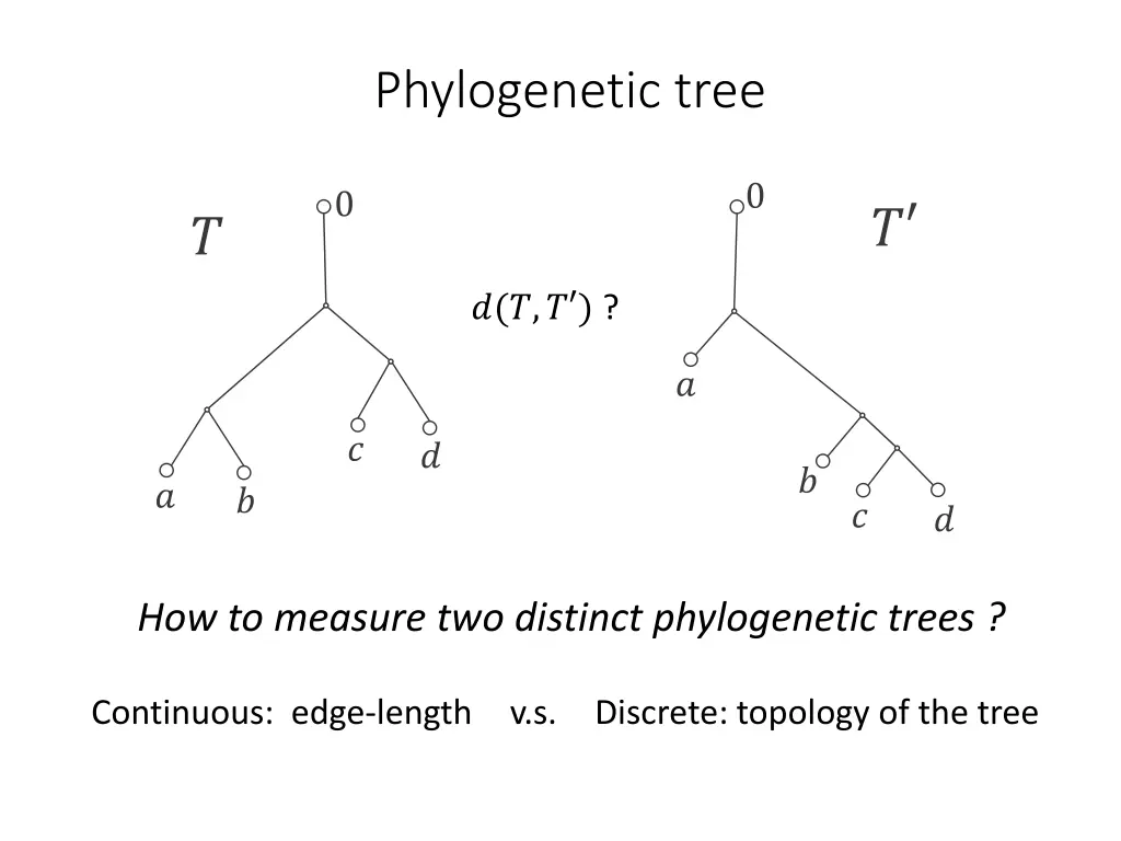 phylogenetic tree