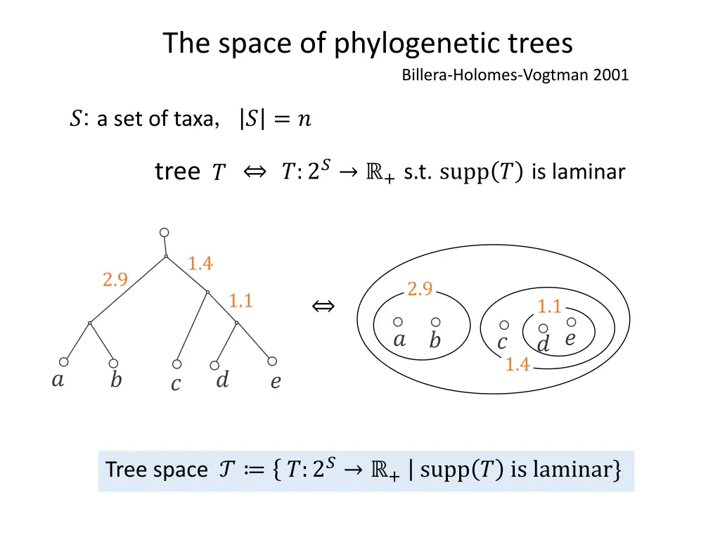 the space of phylogenetic trees