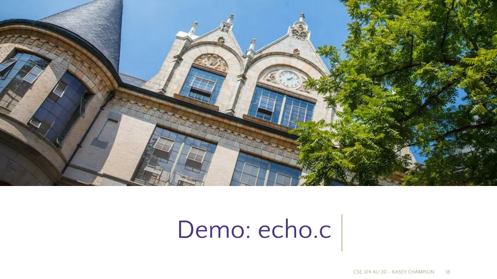 demo echo c