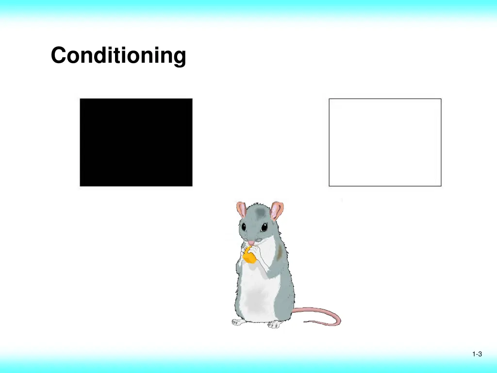 conditioning