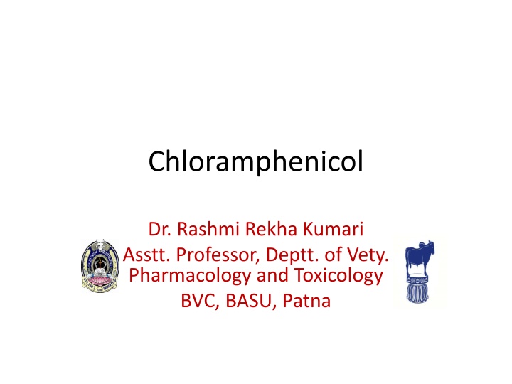chloramphenicol