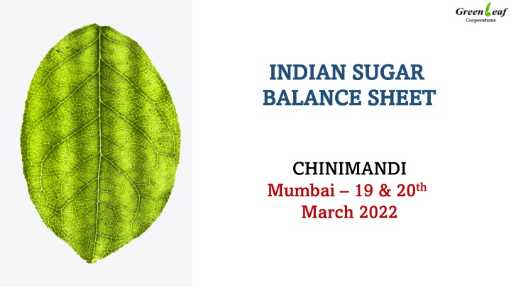 indian sugar indian sugar balance sheet balance