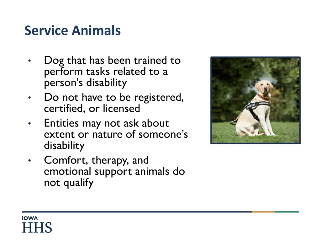 service animals
