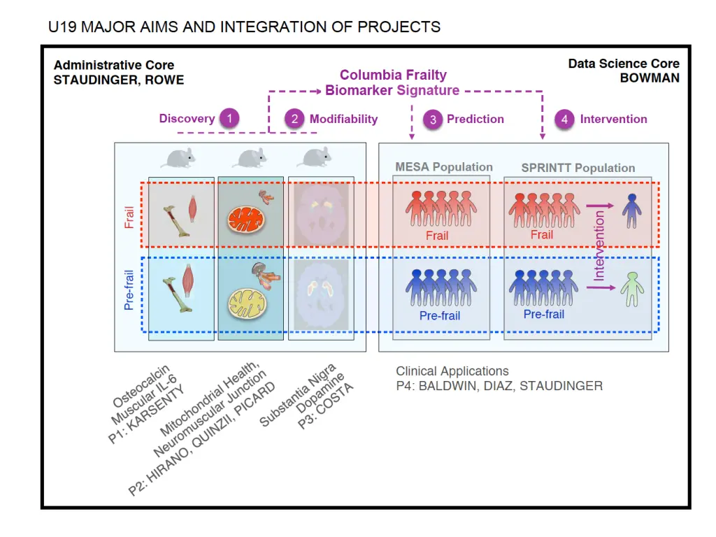 slide4