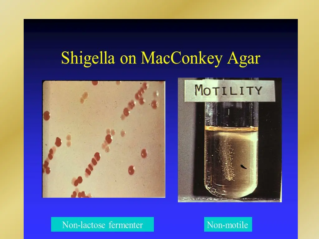 slide20