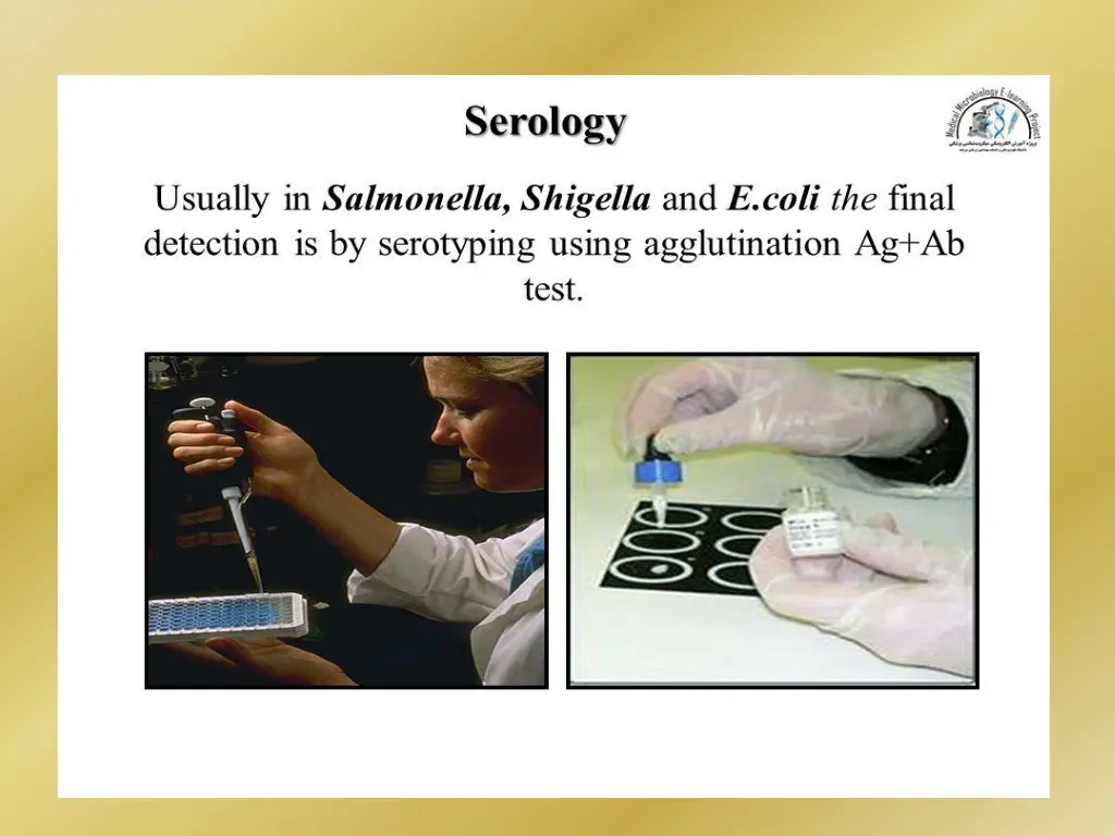 slide28