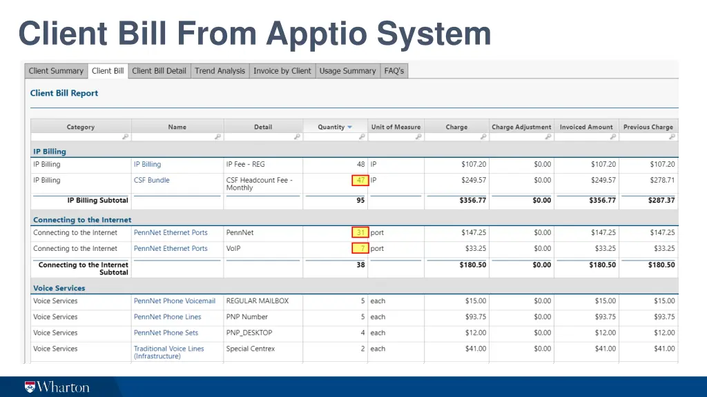 client bill from apptio system