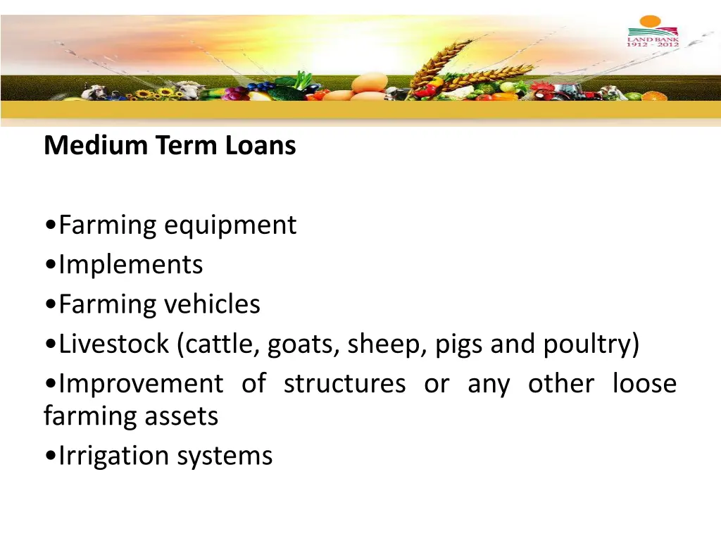 medium term loans