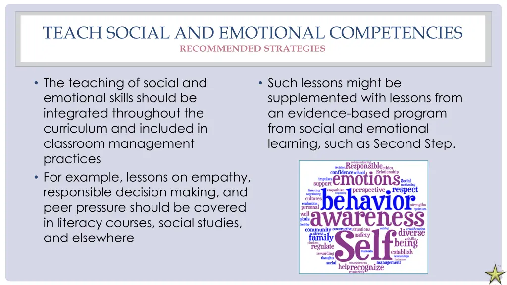 teach social and emotional competencies